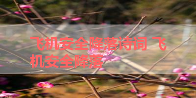 飞机安全降落诗词 飞机安全降落
