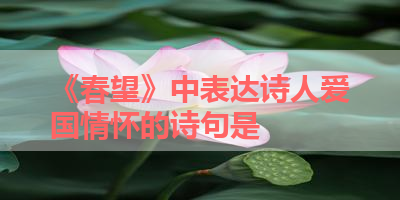 《春望》中表达诗人爱国情怀的诗句是 