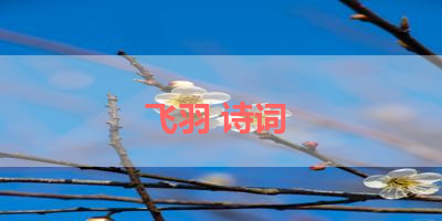 飞羽 诗词 