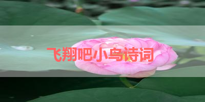 飞翔吧小鸟诗词 