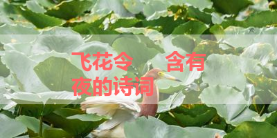 飞花令     含有夜的诗词 