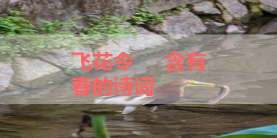 飞花令     含有春的诗词 