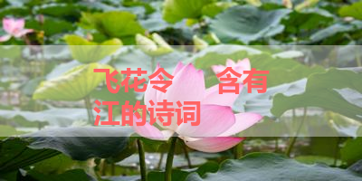 飞花令     含有江的诗词 