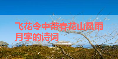 飞花令中带春花山风雨月字的诗词 
