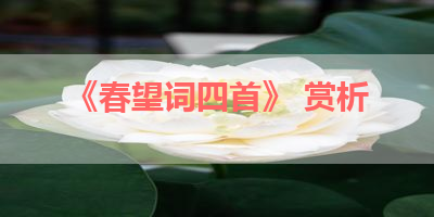 《春望词四首》 赏析 