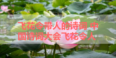 飞花令带人的诗词 中国诗词大会飞花令人