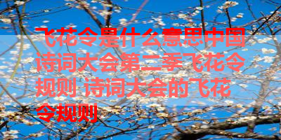 飞花令是什么意思中国诗词大会第二季飞花令规则 诗词大会的飞花令规则