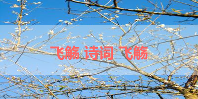 飞觞 诗词 飞觞