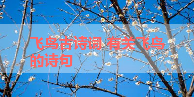 飞鸟古诗词 有关飞鸟的诗句 