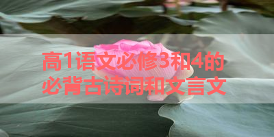 高1语文必修3和4的必背古诗词和文言文 