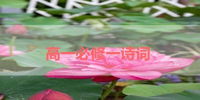 高一必修一诗词 