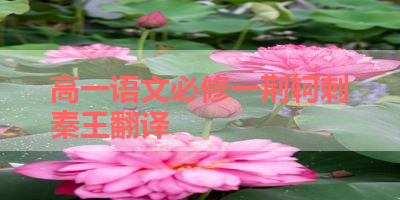 高一语文必修一荆轲刺秦王翻译 