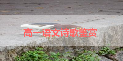 高一语文诗歌鉴赏 