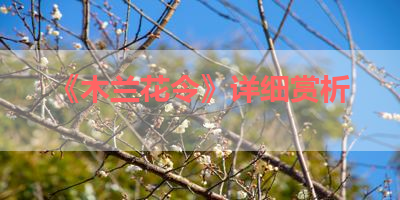 《木兰花令》详细赏析 