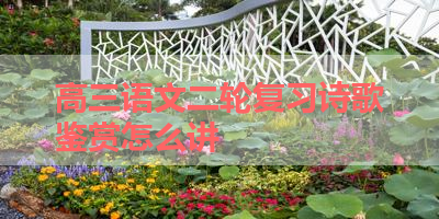 高三语文二轮复习诗歌鉴赏怎么讲 