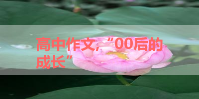 高中作文,“00后的成长” 