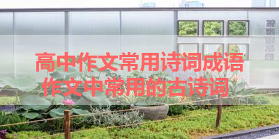 高中作文常用诗词成语 作文中常用的古诗词