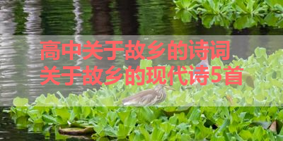 高中关于故乡的诗词 关于故乡的现代诗5首 