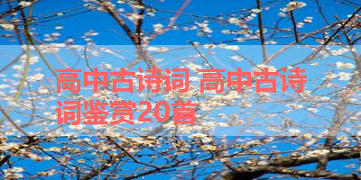 高中古诗词 高中古诗词鉴赏20首