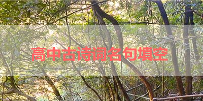 高中古诗词名句填空 