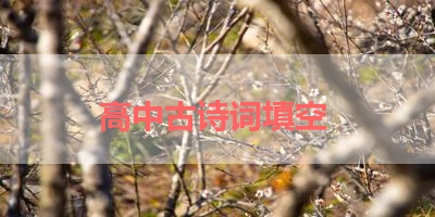 高中古诗词填空 