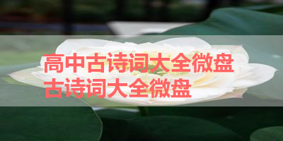 高中古诗词大全微盘 古诗词大全微盘