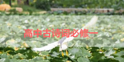 高中古诗词必修一 