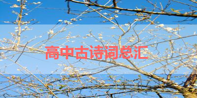 高中古诗词总汇 