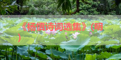 《杨慎诗词选集》(明) 