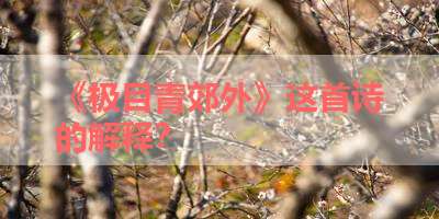 《极目青郊外》这首诗的解释？ 