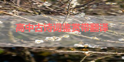 高中古诗词鉴赏带翻译 