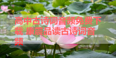 高中古诗词音频免费下载 康震品读古诗词音频