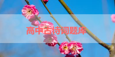 高中古诗词题库 