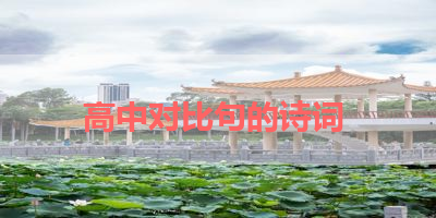 高中对比句的诗词 