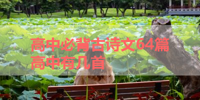 高中必背古诗文64篇高中有几首 