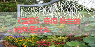 《楚苑》诗词 咏兰的诗句是什么 