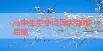 高中生中华诗词大会观后感 
