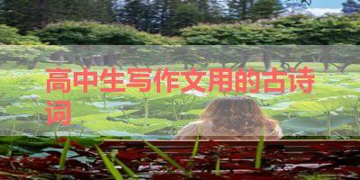 高中生写作文用的古诗词 