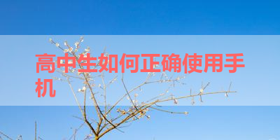高中生如何正确使用手机 