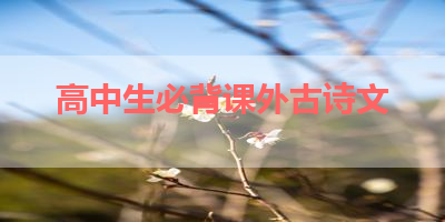 高中生必背课外古诗文 