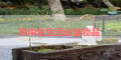 高中生生活必备物品 