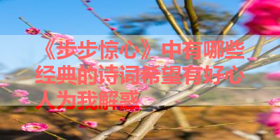 《步步惊心》中有哪些经典的诗词希望有好心人为我解惑 