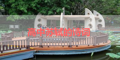 高中苏轼的诗词 