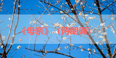 《母亲》（诗朗诵） 