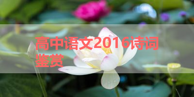 高中语文2016诗词鉴赏 