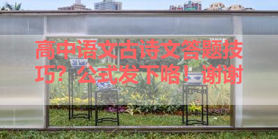高中语文古诗文答题技巧？公式发下咯！谢谢 