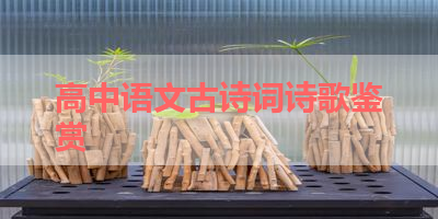 高中语文古诗词诗歌鉴赏 