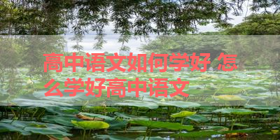 高中语文如何学好 怎么学好高中语文