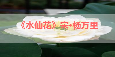 《水仙花》宋·杨万里 