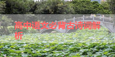 高中语文必背古诗词解析 